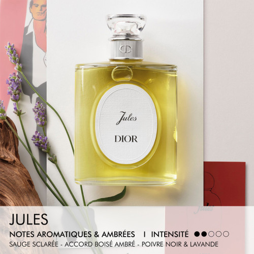 Jules Eau de Toilette – Aromatic and amber notes Dior Jules Eau de Toilette – Aromatic and amber notes Dior